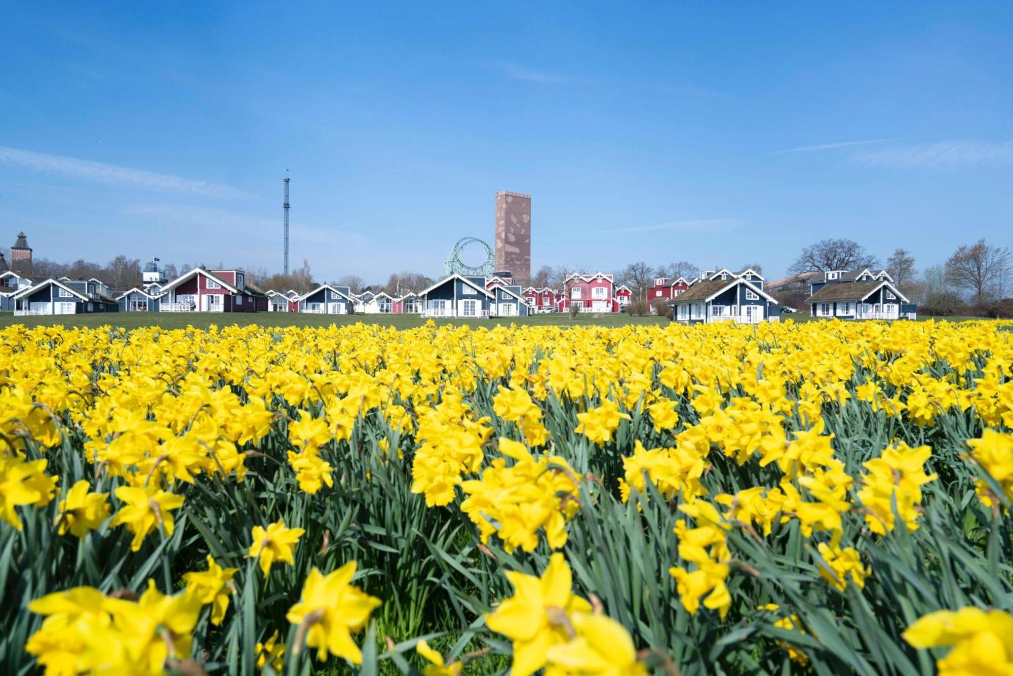 Strandpark Sierksdorf H087 외부 사진